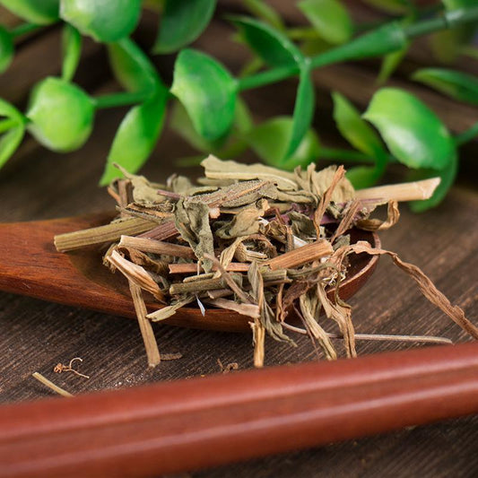 100g Deng Zhan Xi Xin 燈盞細辛, Herba Erigerontis, Deng Zhan Cao-[Chinese Herbs Online]-[chinese herbs shop near me]-[Traditional Chinese Medicine TCM]-[chinese herbalist]-Find Chinese Herb™