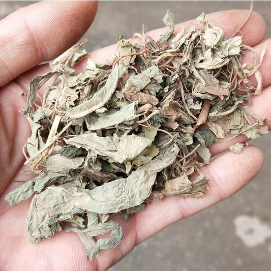 100g Di Dan Cao 地膽草, Herba Elephantopi, Elephantopus Herb, Di Ku Dan-[Chinese Herbs Online]-[chinese herbs shop near me]-[Traditional Chinese Medicine TCM]-[chinese herbalist]-Find Chinese Herb™