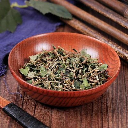 100g Hu Ci 虎刺, Damnacanthus Indicus Gaertn, Fu Niu Hua-[Chinese Herbs Online]-[chinese herbs shop near me]-[Traditional Chinese Medicine TCM]-[chinese herbalist]-Find Chinese Herb™