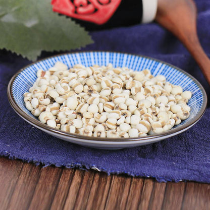 100g Yi Yi Ren 薏苡仁, Yi Ren, Yi Mi, Coix Seed, Semen Coicis-[Chinese Herbs Online]-[chinese herbs shop near me]-[Traditional Chinese Medicine TCM]-[chinese herbalist]-Find Chinese Herb™