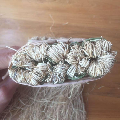 10pcs Yang Gan Cao 养肝草, Long Xu Cao 龙须草, 丝线根-[Chinese Herbs Online]-[chinese herbs shop near me]-[Traditional Chinese Medicine TCM]-[chinese herbalist]-Find Chinese Herb™