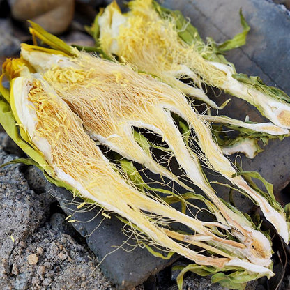 1kg Ba Wang Hua 霸王花, Hylerereus Undatus Flower, FIos Hylerereus Undatus-[Chinese Herbs Online]-[chinese herbs shop near me]-[Traditional Chinese Medicine TCM]-[chinese herbalist]-Find Chinese Herb™