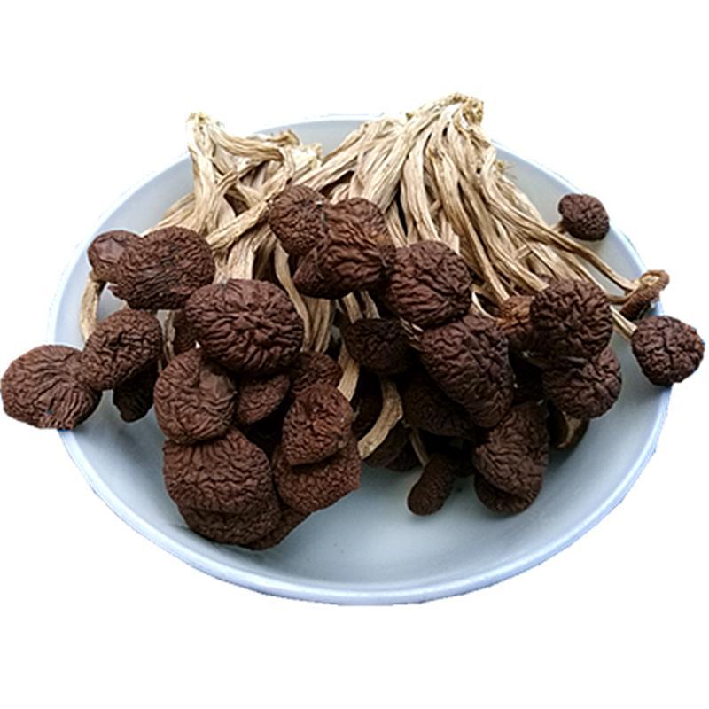 1kg Cha Shu Gu 茶树菇, Agrocybe Aegerita, Yanagimatsutake, Chestnut Mushroom-[Chinese Herbs Online]-[chinese herbs shop near me]-[Traditional Chinese Medicine TCM]-[chinese herbalist]-Find Chinese Herb™