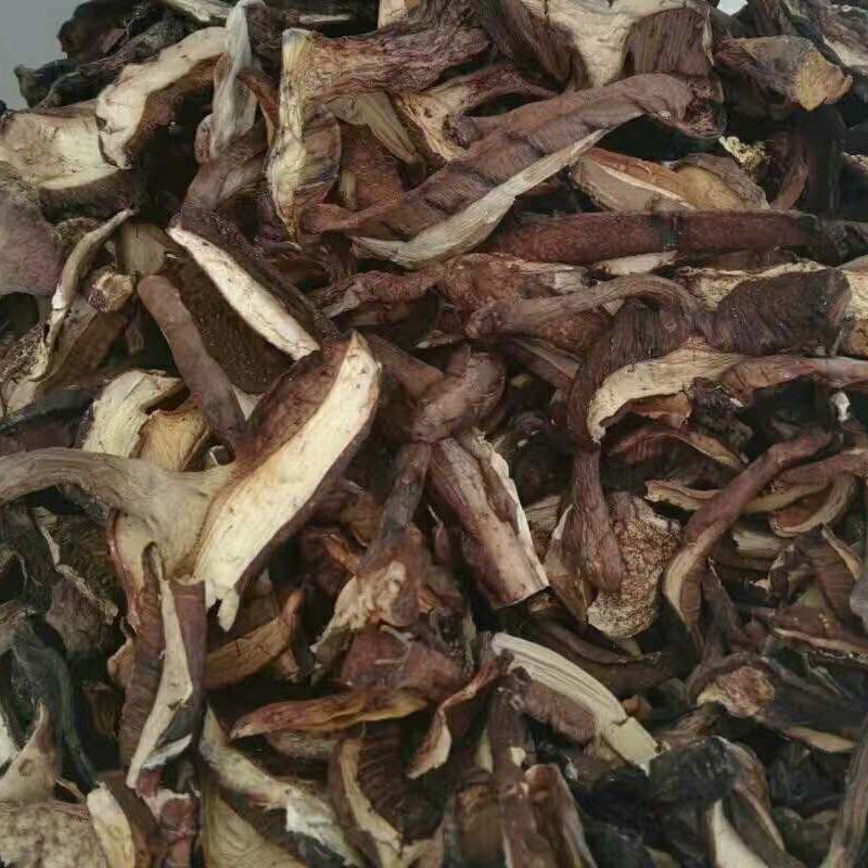 1kg Niu Gan Jun 牛肝菌, Boletus Mushroom, King Bolete, Chinese Soups Mushroom-[Chinese Herbs Online]-[chinese herbs shop near me]-[Traditional Chinese Medicine TCM]-[chinese herbalist]-Find Chinese Herb™