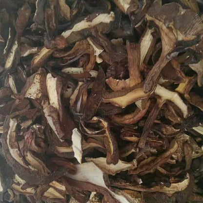 1kg Niu Gan Jun 牛肝菌, Boletus Mushroom, King Bolete, Chinese Soups Mushroom-[Chinese Herbs Online]-[chinese herbs shop near me]-[Traditional Chinese Medicine TCM]-[chinese herbalist]-Find Chinese Herb™