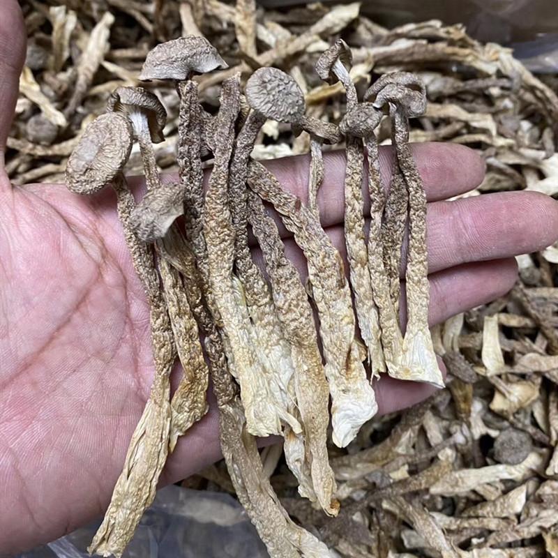 250g Lu Rong Gu 鹿茸菇, Mushroom Ramaria Botrytoides, Edible Fungus Shan Hu Jun-[Chinese Herbs Online]-[chinese herbs shop near me]-[Traditional Chinese Medicine TCM]-[chinese herbalist]-Find Chinese Herb™