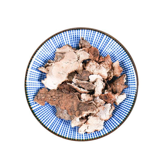 500g Fu Ling Pi 茯苓皮, Indian Bread Peel, Tuckahoe Peel-[Chinese Herbs Online]-[chinese herbs shop near me]-[Traditional Chinese Medicine TCM]-[chinese herbalist]-Find Chinese Herb™