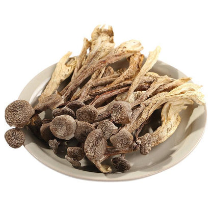 500g Lu Rong Gu 鹿茸菇, Mushroom Ramaria Botrytoides, Edible Fungus Shan Hu Jun-[Chinese Herbs Online]-[chinese herbs shop near me]-[Traditional Chinese Medicine TCM]-[chinese herbalist]-Find Chinese Herb™