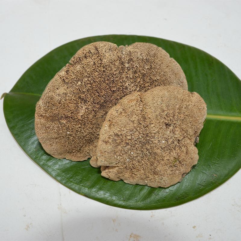 500g Mao Shuan Jun 毛栓菌, Trametes Hirsuta, Reishi Mushroom-[Chinese Herbs Online]-[chinese herbs shop near me]-[Traditional Chinese Medicine TCM]-[chinese herbalist]-Find Chinese Herb™