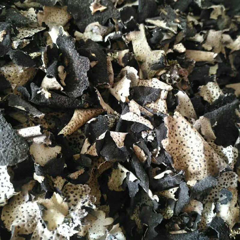 500g Shi Er 石耳, Umbilicaria Esculenta Miyoshi, Rock Tripe, Rock Ear, Stone Ear-[Chinese Herbs Online]-[chinese herbs shop near me]-[Traditional Chinese Medicine TCM]-[chinese herbalist]-Find Chinese Herb™