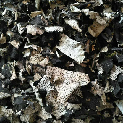 500g Shi Er 石耳, Umbilicaria Esculenta Miyoshi, Rock Tripe, Rock Ear, Stone Ear-[Chinese Herbs Online]-[chinese herbs shop near me]-[Traditional Chinese Medicine TCM]-[chinese herbalist]-Find Chinese Herb™