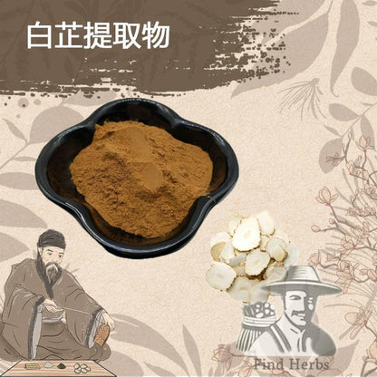 Extract Powder Bai Zhi 白芷, Radix Angelicae Dahuricae, Dahurian Angelica Root-[Chinese Herbs Online]-[chinese herbs shop near me]-[Traditional Chinese Medicine TCM]-[chinese herbalist]-Find Chinese Herb™