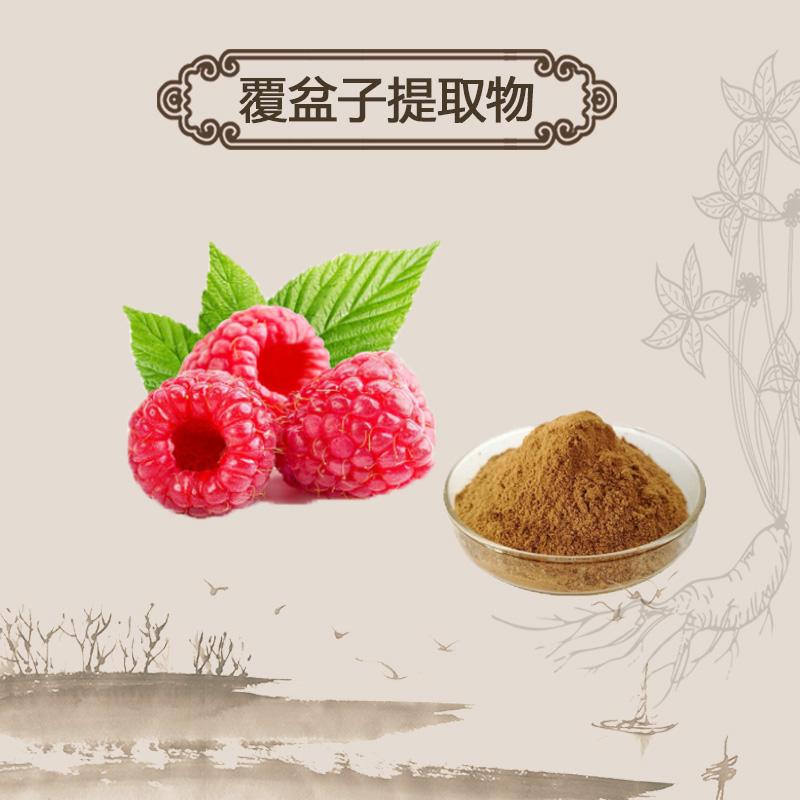 Extract Powder Fu Pen Zi 覆盆子, Fructus Rubi, Palmleaf Raspberry Fruit-[Chinese Herbs Online]-[chinese herbs shop near me]-[Traditional Chinese Medicine TCM]-[chinese herbalist]-Find Chinese Herb™