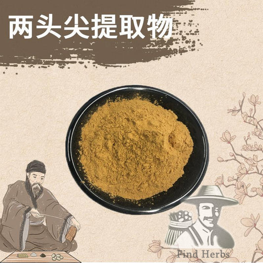 Extract Powder Liang Tou Jian 两头尖, Rhizoma Anemones Raddeanae, Radde Anemone Rhizome, Zhu Jie Xiang Fu-[Chinese Herbs Online]-[chinese herbs shop near me]-[Traditional Chinese Medicine TCM]-[chinese herbalist]-Find Chinese Herb™