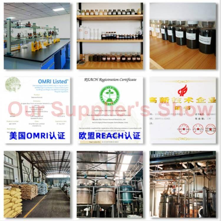 Extract Powder Pi Pa, Loquat Fruit, Eriobotryae-[Chinese Herbs Online]-[chinese herbs shop near me]-[Traditional Chinese Medicine TCM]-[chinese herbalist]-Find Chinese Herb™