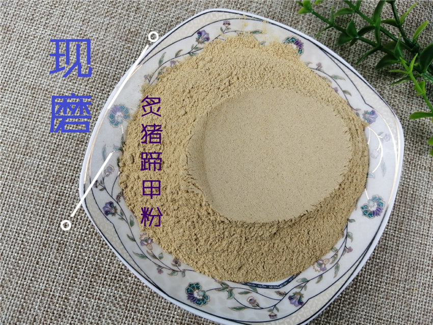 Pure Powder Zhi Zhu Ti Jia 炙猪蹄甲, Pig's Trotters-[Chinese Herbs Online]-[chinese herbs shop near me]-[Traditional Chinese Medicine TCM]-[chinese herbalist]-Find Chinese Herb™