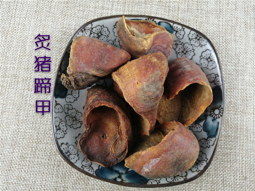 Pure Powder Zhi Zhu Ti Jia 炙猪蹄甲, Pig's Trotters-[Chinese Herbs Online]-[chinese herbs shop near me]-[Traditional Chinese Medicine TCM]-[chinese herbalist]-Find Chinese Herb™