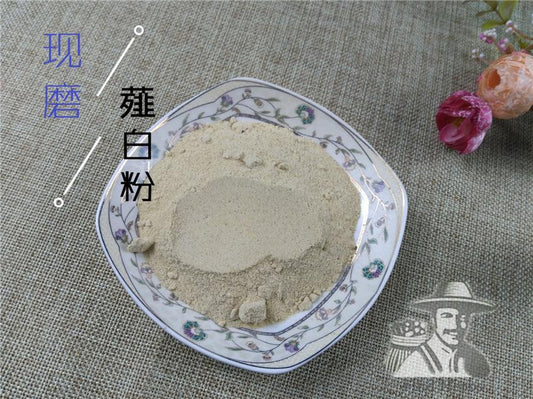 Pure Powder Xie Bai Tou 薤白頭, Bulbus Allii Macrostemi, Longstamen Onion Bulb, Jiu Bai-[Chinese Herbs Online]-[chinese herbs shop near me]-[Traditional Chinese Medicine TCM]-[chinese herbalist]-Find Chinese Herb™